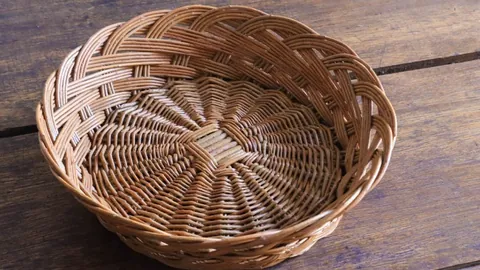 袁悦与亚历山德罗娃搭档成功晋级澳网女双32强